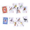 Field Guide to Dumb Birds Playing Cards