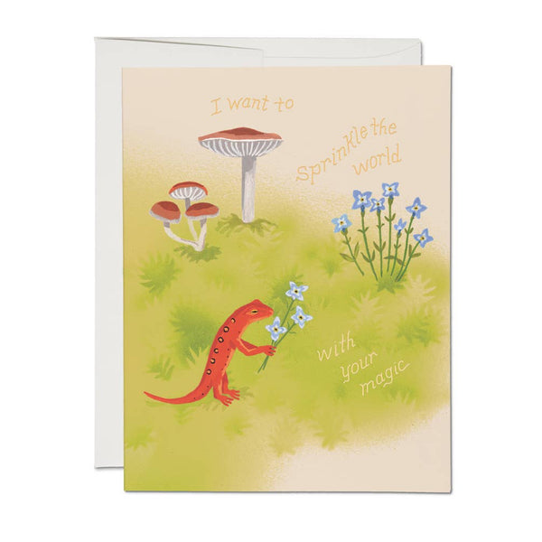 Gecko Magic