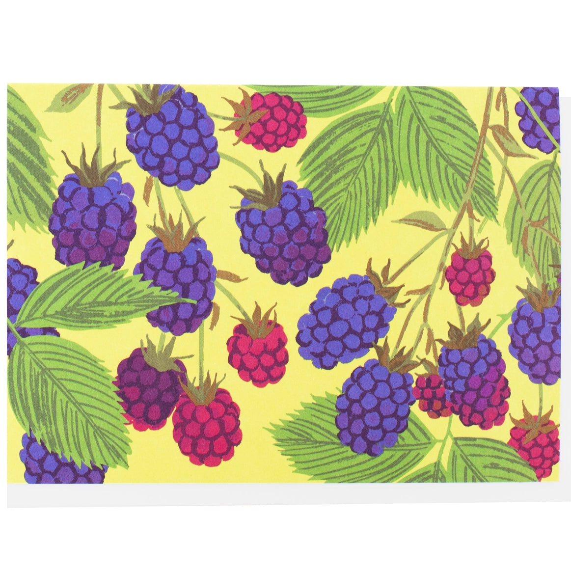 Blackberries Note Set of 10