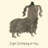 Winking At You