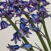 Bluebells