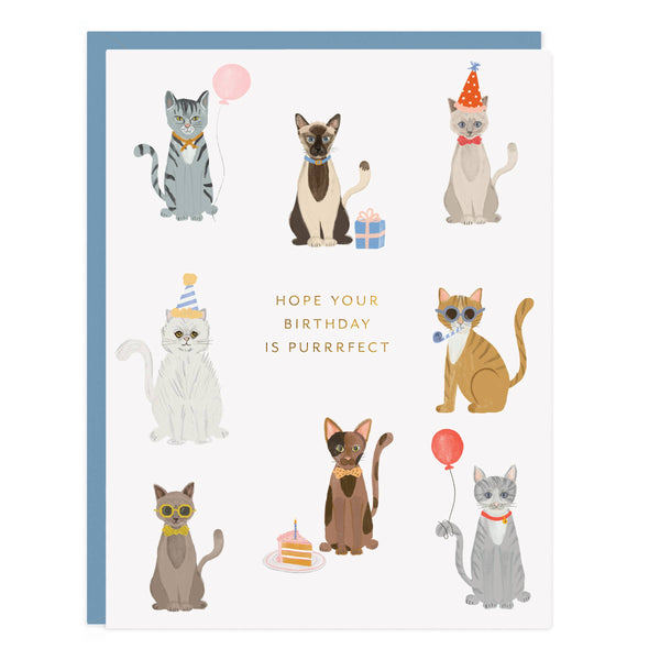 Party Cats