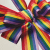 Rainbow Bow Card