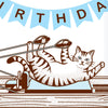 Pilates Birthday Cat