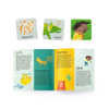 Did You Fart? A Matching & Memory Game
