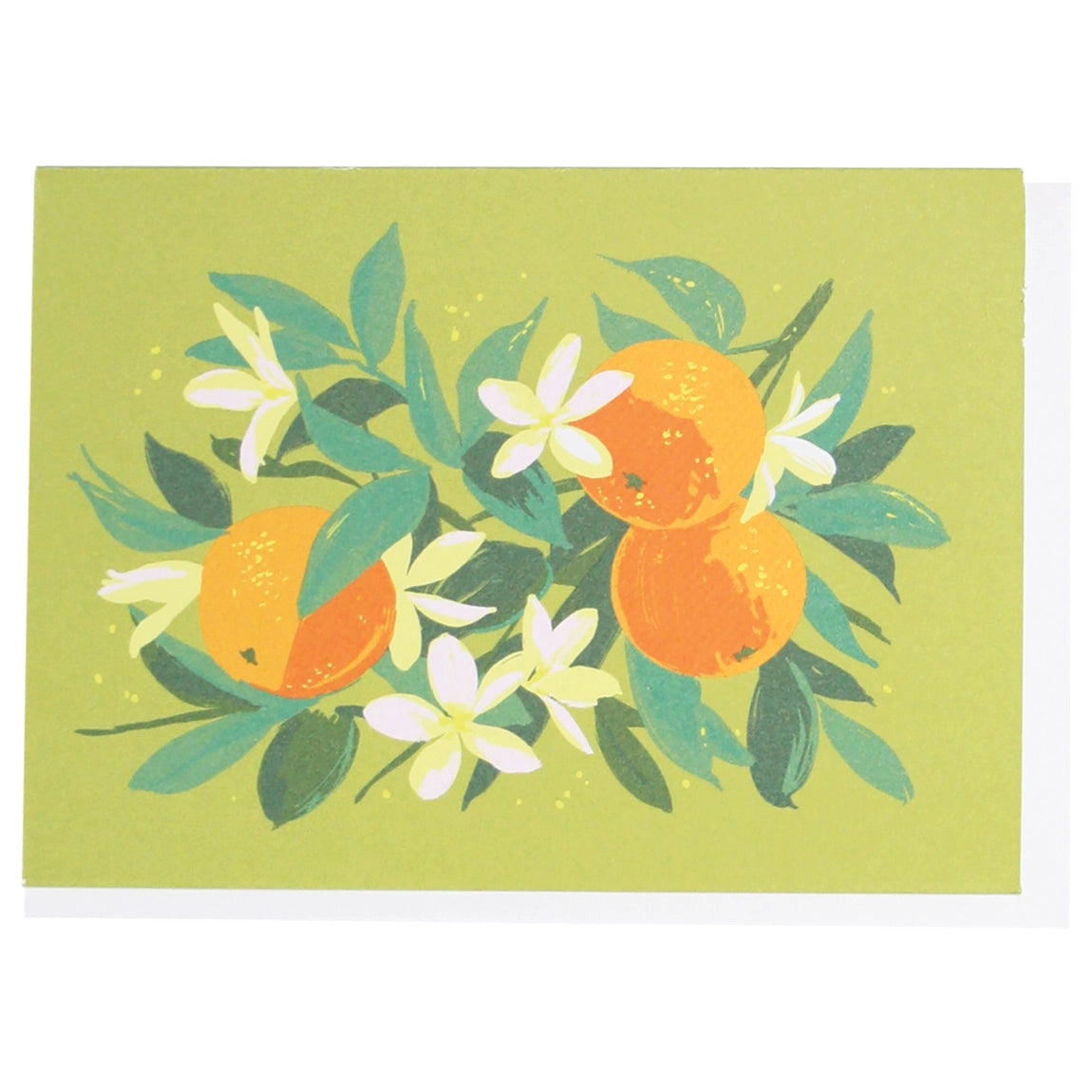 Oranges Note Card Set
