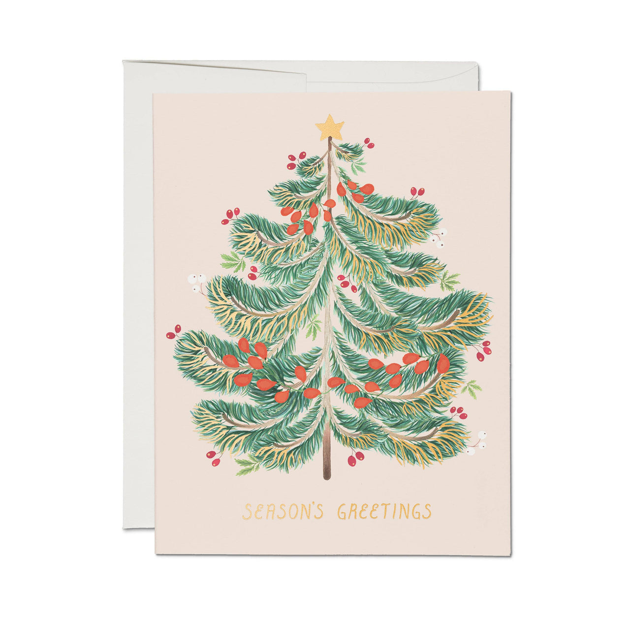 Festive Evergreen Boxed Set of 8