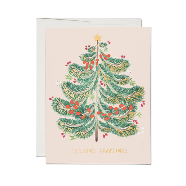 Festive Evergreen Boxed Set of 8