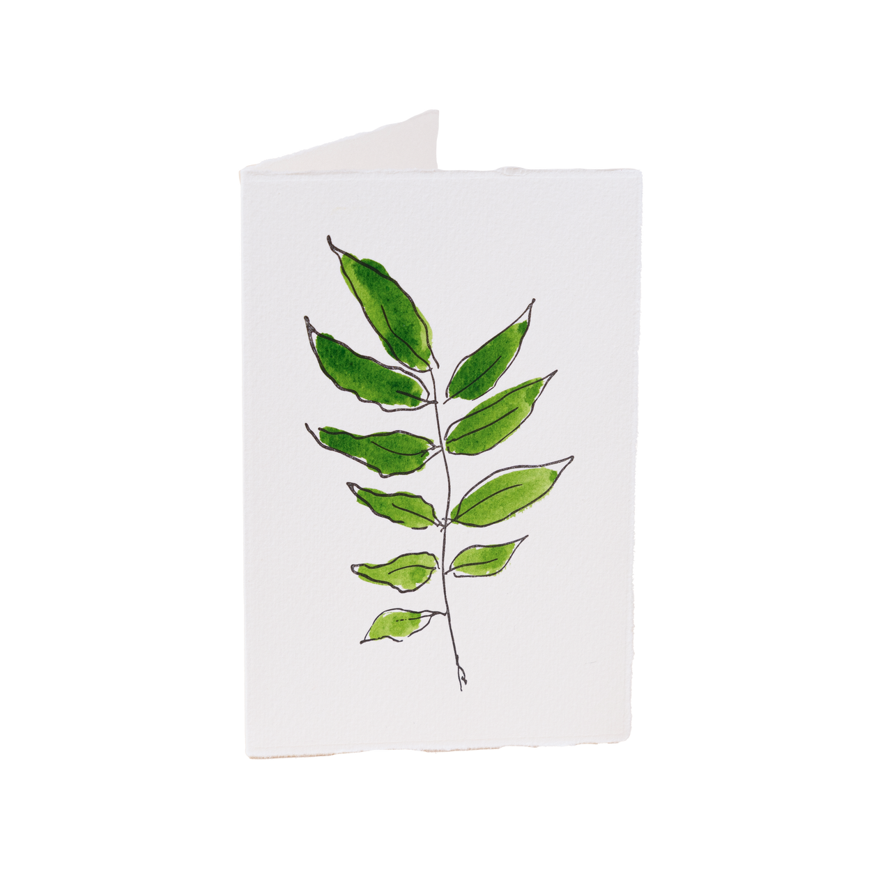 Wisteria Leaf Card