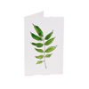 Wisteria Leaf Card