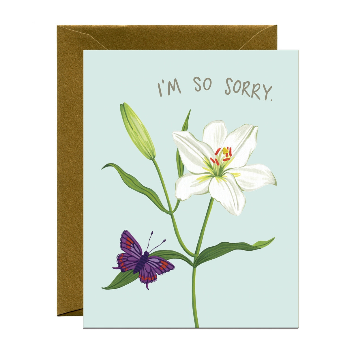 Lily and Butterfly I'm Sorry