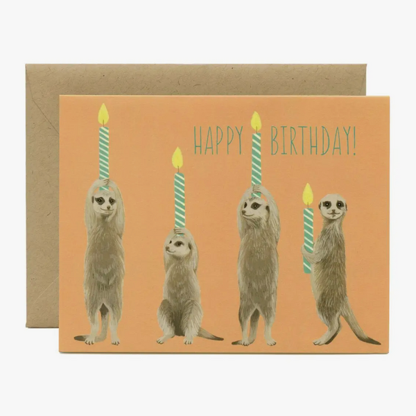 Meerkat Birthday