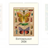 Cavallini 2026 Wall Calendars