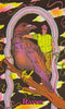 Queer Animal Oracle