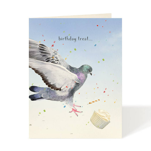 Pigeon Express Birthday