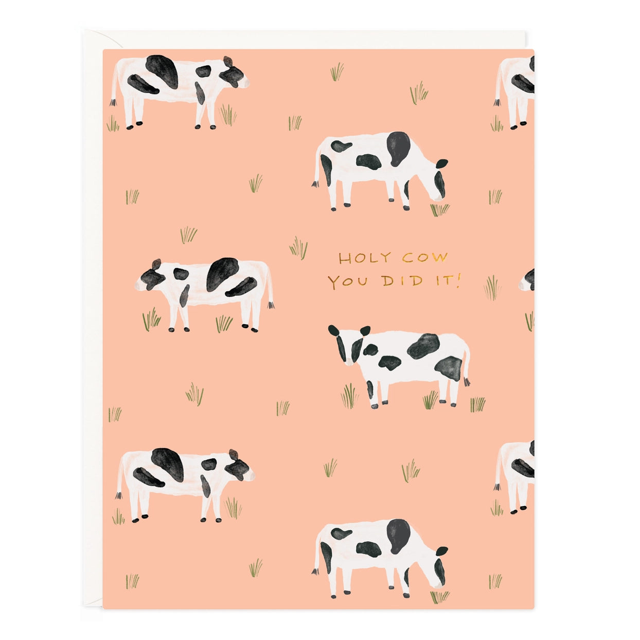 Cow Congrats