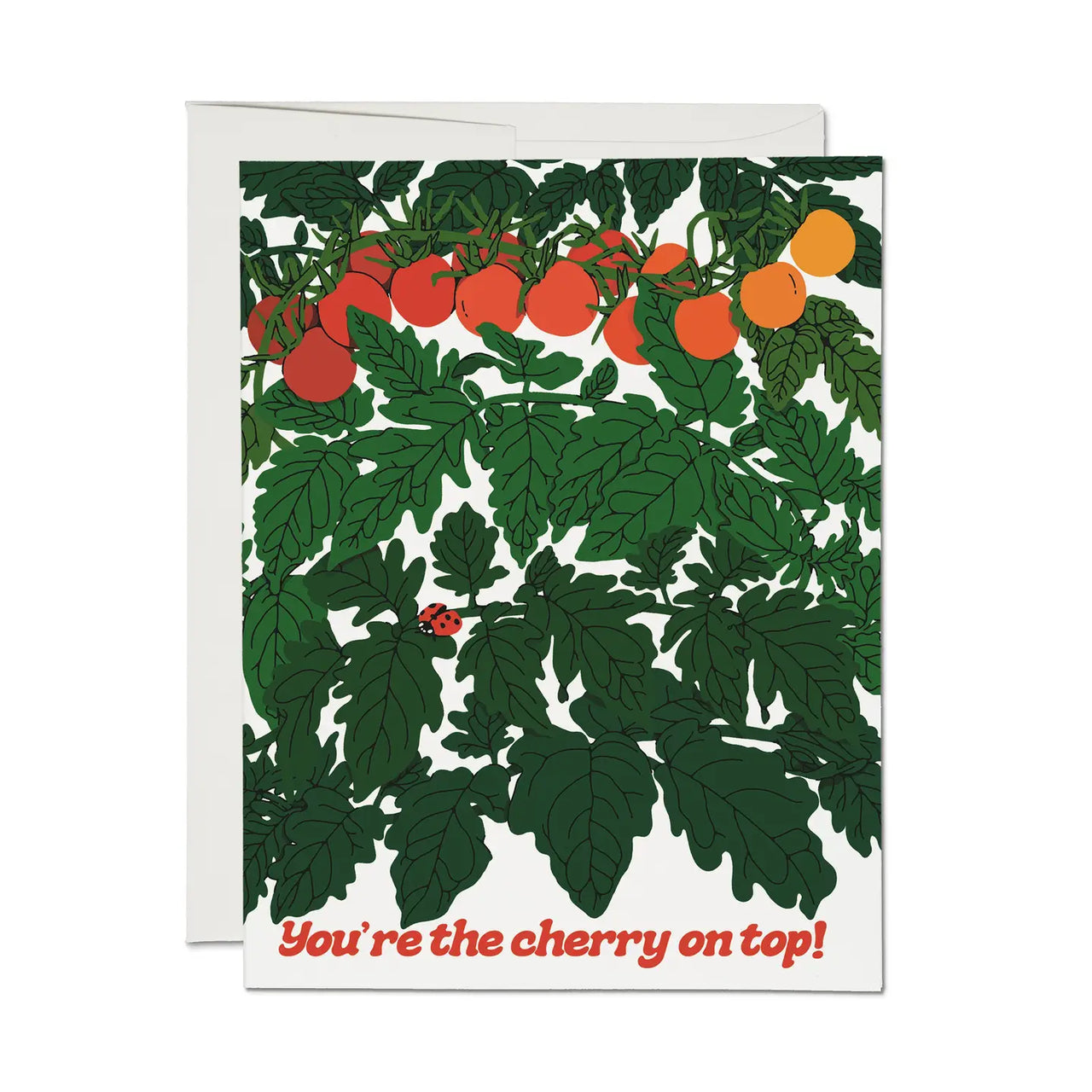 Cherry Tomatoes
