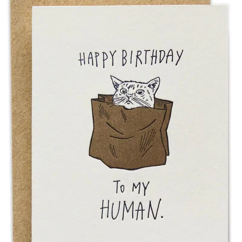 Happy Birthday To My Human Cat