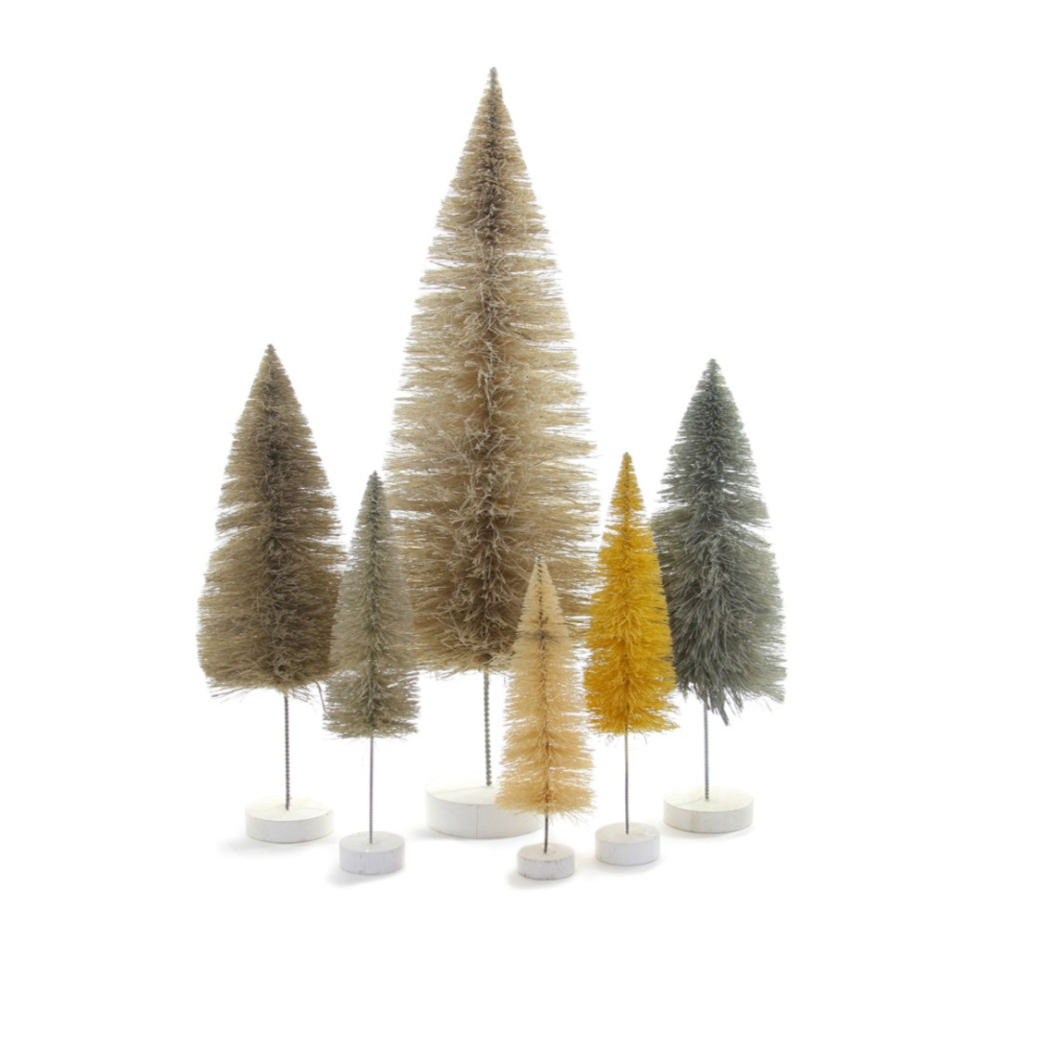 White Spectrum Bristle Tree